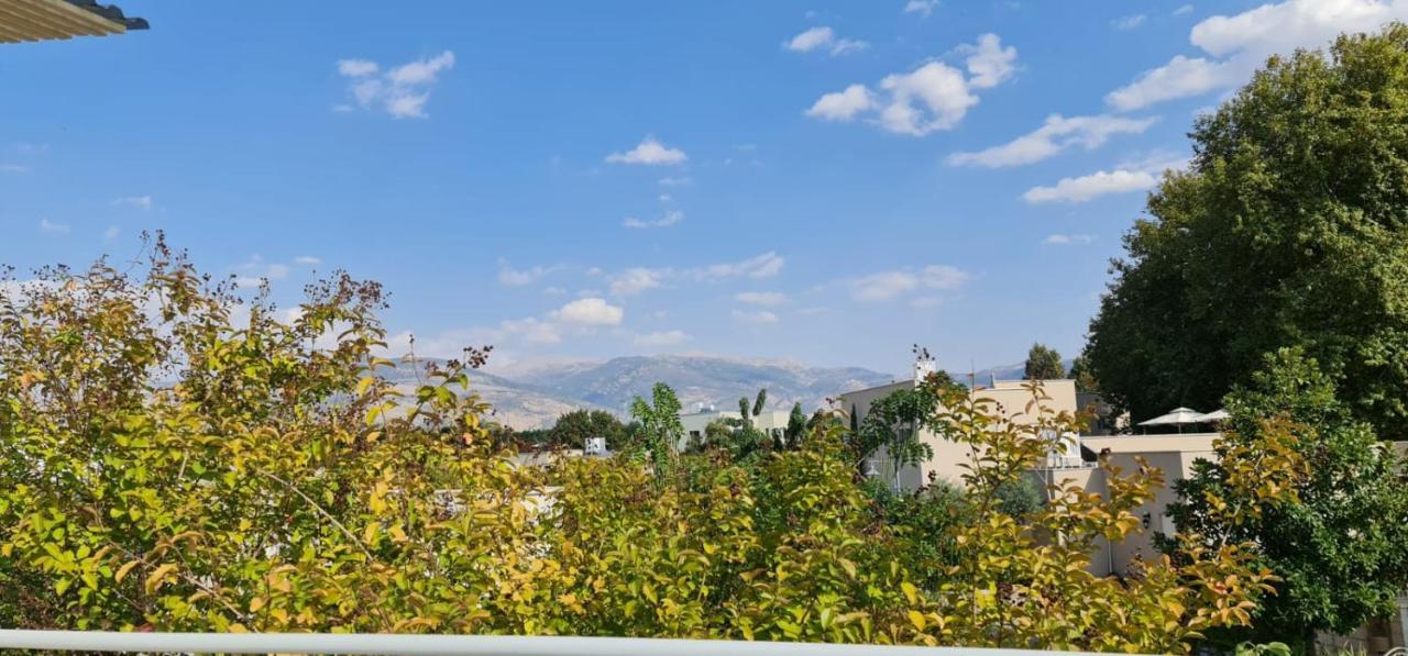 קסם של אירוח Apartment Hagoshrim Exterior photo